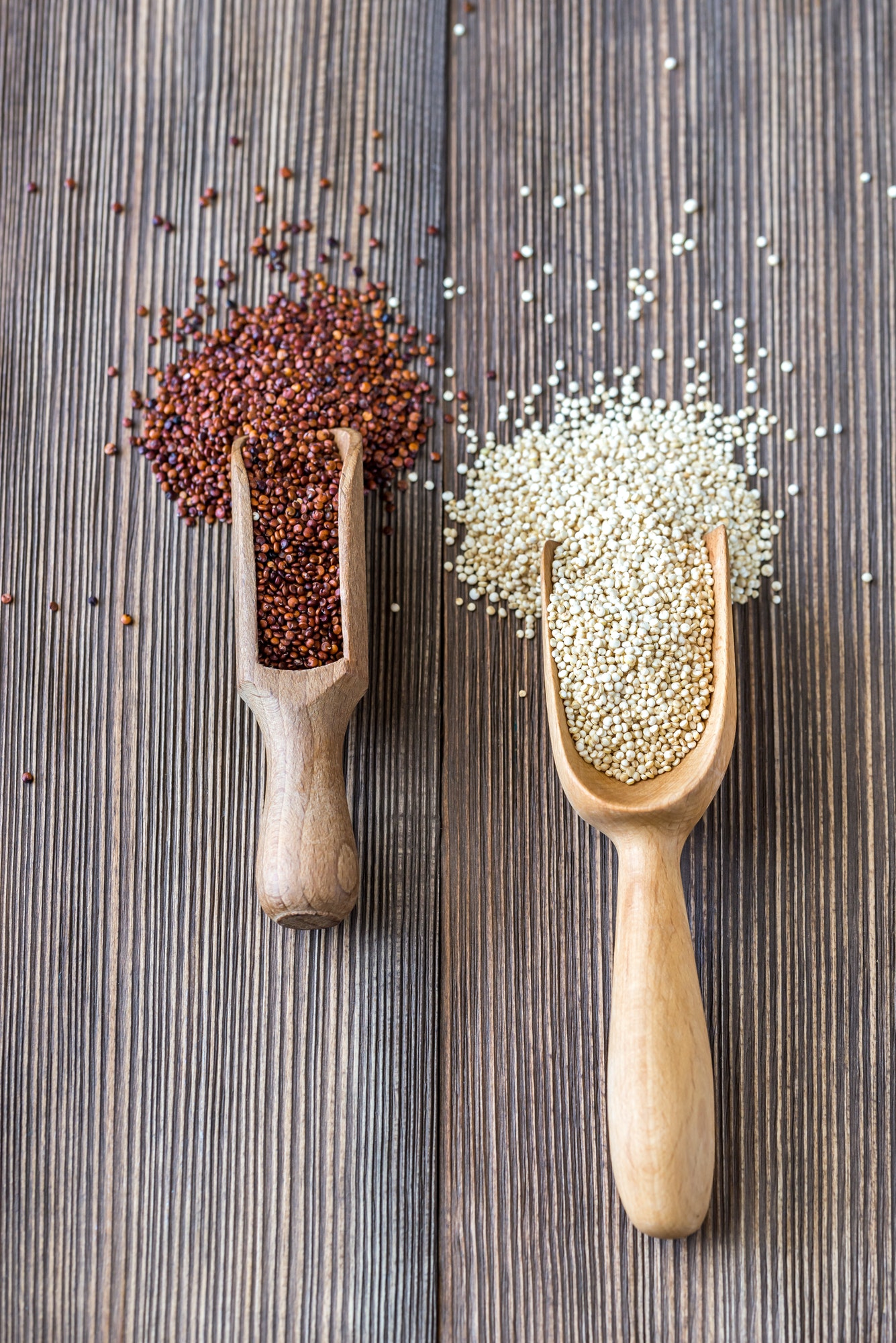 Scoops of white and red quinoa